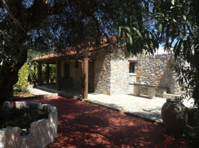 Stone house among trees